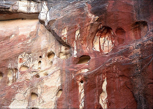 red rock cliff, cliff, erosion, limestone, red, rock