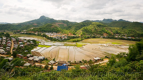 rice fields in xam nua - nam xam valley (laos), landscape, rice fields, rice paddies, xam nua