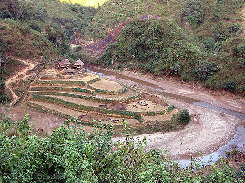 rice fields - river goose-neck - terrace farming - vietnam, agriculture, goose-neck, landscape, rice fields, rice paddies, river, terrace farming, terraced fields