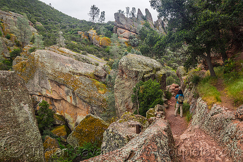 rim trail - pinnacles national park (california), hiking, landscape, pinnacles national park, rock formations, trail, woman