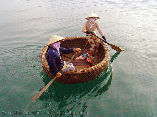 round boat - thúng chai - coracle - vietnam, asian woman, asian women, bamboo, basket boat, coracle, river, round boat, thung chai, thúng chai, vietnam