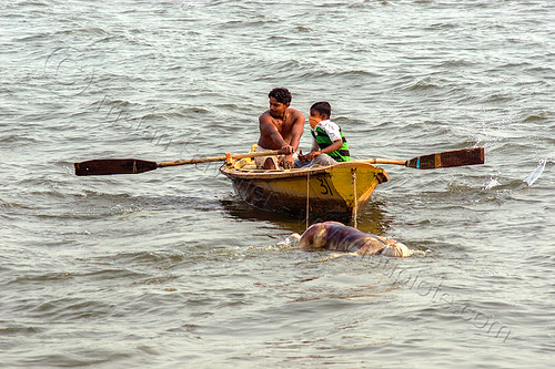 row boat towing decomposed cadaver on the ganges river (india), bloated, blood, boatman, cadaver, corpse, dead, death, decomposed body, decomposing, floating, ganga, ganges river, hindu, hinduism, human remains, man, putrefied, river boat, rowing boat, small boat, varanasi