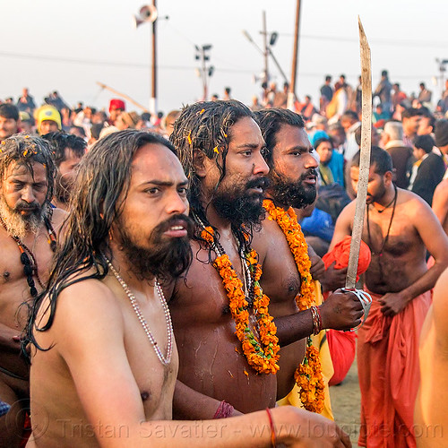 sadhus with sword after holy bath - kumbh mela (india), babas, beard, crowd, flower necklaces, hindu pilgrimage, hinduism, kumbh maha snan, kumbh mela, mauni amavasya, men, sadhus, sword, triveni sangam, walking