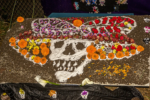 salt drawing of decorated skull - dia de los muertos (san francisco), altar de muertos, day of the dead, decorated skull, dia de los muertos, drawing, halloween, memorial, night, orange flowers, orange marigold, salt