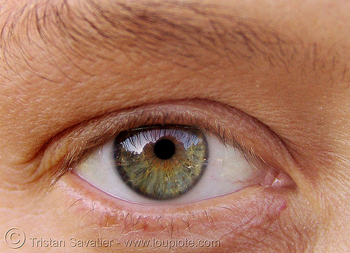 sarah's amazing green eye, close up, eye color, eyebrow, eyelashes, hazel, iris, sarah, spock, vulcan, woman