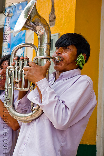 saxhorn player - carnival in jujuy capital (argentina), andean carnival, argentina, banda rey imperial, carnaval de la quebrada, jujuy capital, man, marching band, noroeste argentino, san salvador de jujuy, saxhorn player