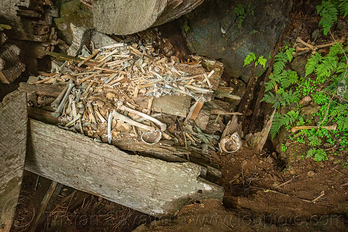 scattered human bones and old toraja erong coffins - kete-kesu traditional toraja burial site, cemetery, erong coffins, grave, graveyard, human bones, kete kesu burial site, liang, tana toraja, tomb