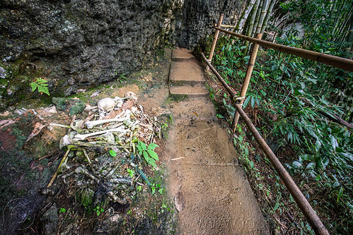 scattered human bones - kete-kesu traditional toraja burial site, cemetery, grave, graveyard, human bones, human skulls, kete kesu burial site, liang, tana toraja, tomb