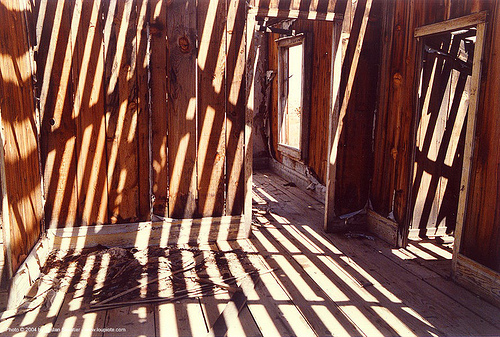shadows in dilapidated gold miner cabin - gold point - death valley (california), cabin, death valley, trespassing