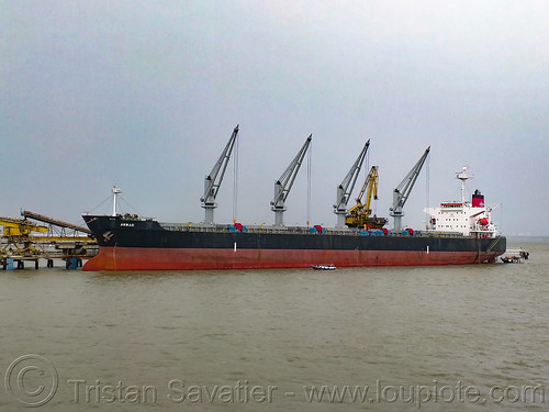 ship ammar (bulk carrier), boat, cargo ship, cran, docked, ship cranes, surabaya