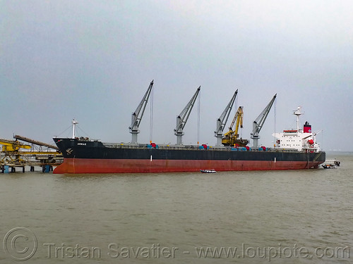 ship ammar (bulk carrier), boat, cargo ship, cran, docked, ship cranes, surabaya
