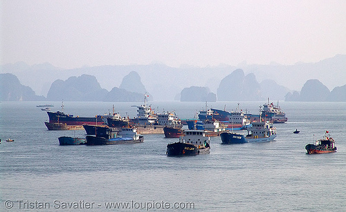 ships mooring in halong bay - vietnam, boats, halong bay, moored, mooring, sea, ships