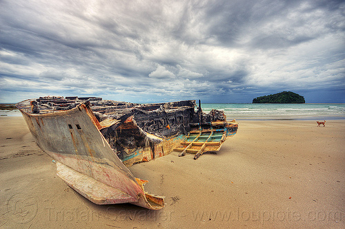 shipwreck on kelambu beach, boat, borneo, clouds, cloudy, dog, fiberglass hull, islet, kelambu beach, kelambu island, malaysia, sand, seashore, ship, shipwreck, vessel