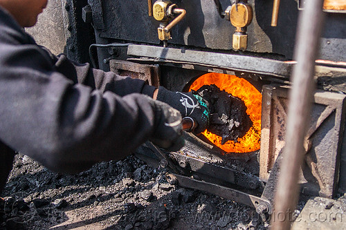 shoveling coal in furnace of steam locomotive - darjeeling (india), boiler, burning, coal, darjeeling himalayan railway, darjeeling toy train, fire, furnace, man, narrow gauge, railroad, shoveling, steam engine, steam locomotive, steam train engine, worker