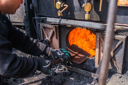 shoveling coal in steam locomotive furnace - darjeeling (india), boiler, burning, coal, darjeeling himalayan railway, darjeeling toy train, fire, furnace, man, narrow gauge, railroad, shoveling, steam engine, steam locomotive, steam train engine, worker