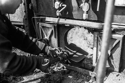 shoveling coal in steam locomotive furnace - darjeeling (india), boiler, burning, coal, darjeeling himalayan railway, darjeeling toy train, fire, furnace, man, narrow gauge, railroad, shoveling, steam engine, steam locomotive, steam train engine, worker