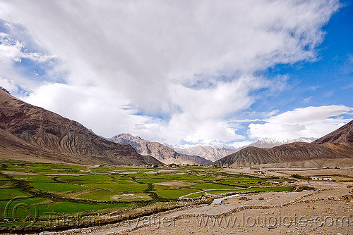 shyok valley - near nubra valley - ladakh (india), agriculture, dry stone walls, fields, ladakh, mountains, nubra valley, shyok valley