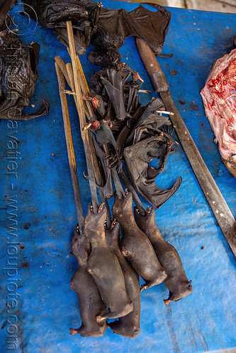 singed bats on sticks at meat market, bada valley, bat meat, black flying foxes, black fruit bats, bushmeat, meat market, meat shop, pteropus alecto, raw meat, singed