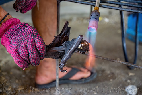 singeing a fruit bat wing with a blowtorch, bat meat, bat wings, black flying foxes, black fruit bats, blowtorch, bushmeat, meat market, meat shop, pteropus alecto, raw meat, singed, singeing