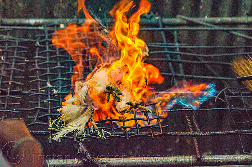 singeing chicken - preparing pinikpikan (philippines), baguio, burned, burning, chicken, fire, grilled, pinikpikan, poultry, singed, singeing, slaughtering