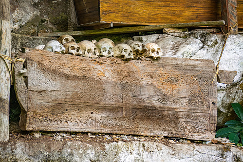 skulls on old toraja erong coffin in londa cave burial site, burial site, cemetery, erong coffins, grave, graveyard, human bones, human skulls, liang, londa burial cave, londa cave, tana toraja, tomb