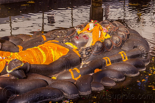 sleeping vishnu in pond - budhanikantha temple (nepal), 11, budhanikantha temple, eleven-head, eleven-headed, floating vishnu, flower offerings, hindu temple, hinduism, jalakshayan narayan, laying down, marigold flowers, naga snake, nāga snake, pond, pool, sculpture, sleeping vishnu, statue