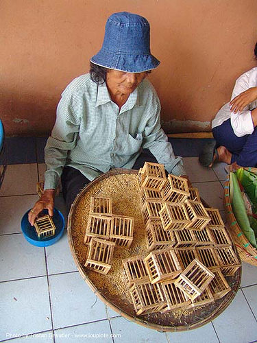 นกกระจอก - small birds in cages - thailand, bird cages, merchant, offerings, sparrows, street market, street seller, street vendor, นกกระจอก