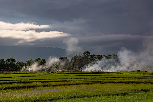 smoke in fields under cloudy sky, cloudy sky, fields, landscape, smoke