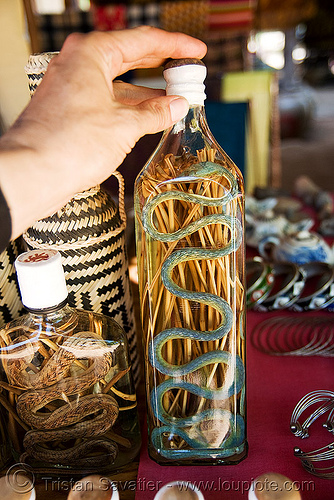 snake wine bottle - lao-lao (laos), ahaetulla prasina, alcohol, asian vine snake, lao-lao, liquor, luang prabang, pak ou caves temples, rice wine, vodka, whisky village