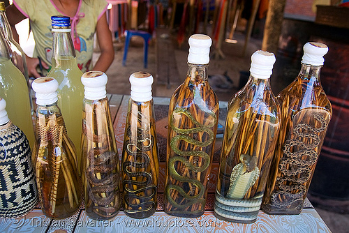 snake wine (laos), alcohol, lao-lao, liquor, luang prabang, pak ou caves temples, rice wine, snakes, vodka, whisky village