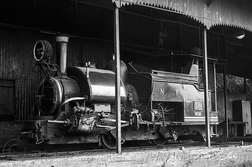 steam locomotive - darjeeling train depot (india), 802 victor, darjeeling himalayan railway, darjeeling toy train, india, narrow gauge, railroad, steam engine, steam locomotive, steam train engine, train depot, train yard