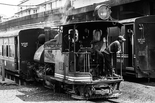 steam locomotive - passenger train - darjeeling station (india), 782 mountaineer, darjeeling himalayan railway, darjeeling toy train, man, narrow gauge, operator, railroad, smoke, smoking, steam engine, steam locomotive, steam train engine, train cars, train station, worker