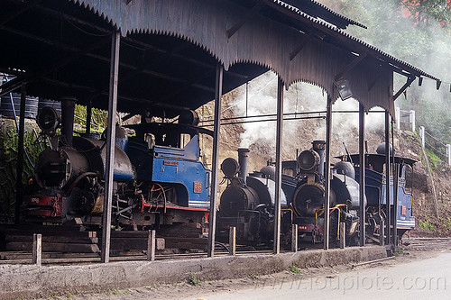 steam locomotives - darjeeling railroad yard (india), 782 mountaineer, 788 tusker, 804 queen of the hills, darjeeling himalayan railway, darjeeling toy train, narrow gauge, railroad, smoke, smoking, steam engine, steam locomotive, steam train engine, train depot, train yard