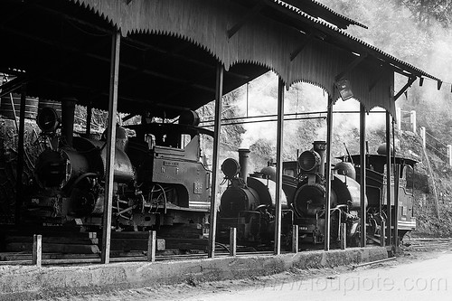 steam locomotives - darjeeling railroad yard (india), 782 mountaineer, 788 tusker, 804 queen of the hills, darjeeling himalayan railway, darjeeling toy train, narrow gauge, railroad, smoke, smoking, steam engine, steam locomotive, steam train engine, train depot, train yard