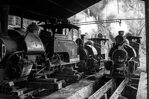 steam locomotives - darjeeling train yard (india), 782 mountaineer, 788 tusker, 804 queen of the hills, darjeeling himalayan railway, darjeeling toy train, narrow gauge, railroad tracks, smoke, smoking, steam engine, steam locomotive, steam train engine, train depot, train yard