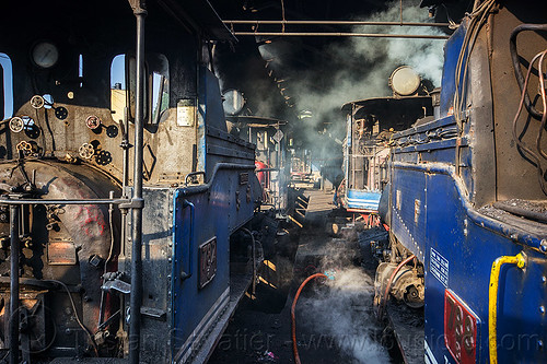 steam locomotives in the darjeeling train yard (india), 782 montaineer, 788 tusker, darjeeling himalayan railway, darjeeling toy train, narrow gauge, railroad, smoke, smoking, steam engine, steam locomotive, steam train engine, train depot, train yard