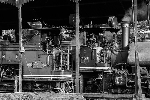 steam locomotives parked in darjeeling train yard (india), 782 mountaineer, 791, 804 queen of the hills, darjeeling himalayan railway, darjeeling toy train, narrow gauge, railroad, steam engine, steam locomotive, steam train engine, train depot, train yard