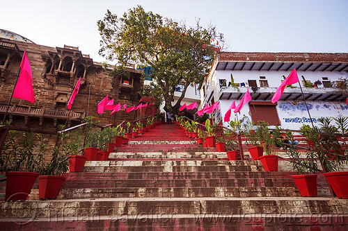 steps on the ghats of varanasi (india), buildings, ghats, houses, pink flags, stairs, steps, tree, vanishing point, varanasi