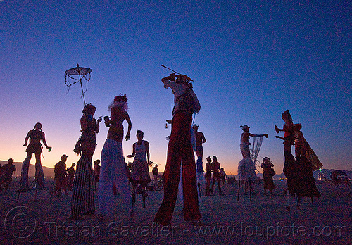 stiltwalkers at dawn, backlight, dawn, performance, stilts, stiltwalkers, stiltwalking