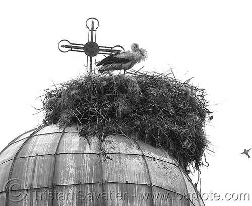 stork nest (bulgaria), cross, dome, roof, stork nest, wildlife