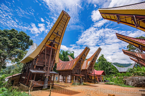 street in toraja village - traditional tongkonan roofs, alang, rice granaries, rice-barns, tana toraja, tongkonan house, tongkonan roof, village