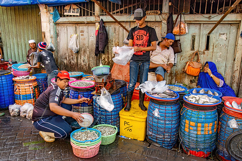 street stand at fish market, fish market, man, pasar pabean, seafood, surabaya