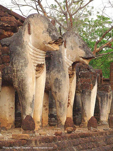 stucco elephants - วัดช้างล้อม - wat chang lom - อุทยานประวัติศาสตร์ศรีสัชนาลัย - si satchanalai chaliang historical park, near sukhothai - thailand, elephants, ruins, sculptures, stone elephant, temple, wat chang lom, วัดช้างล้อม, อุทยานประวัติศาสตร์ศรีสัชนาลัย