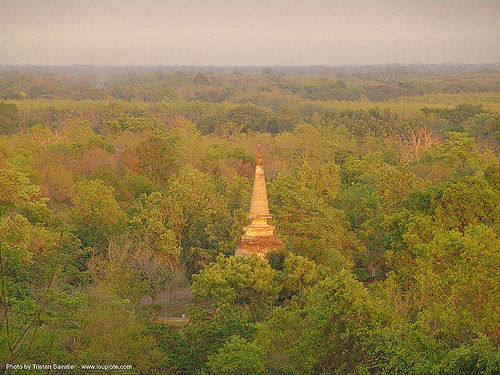 stupa in a forest - อุทยานประวัติศาสตร์ศรีสัชนาลัย - si satchanalai chaliang historical park, near sukhothai - thailand, forest, jungle, ruins, stupa, อุทยานประวัติศาสตร์ศรีสัชนาลัย