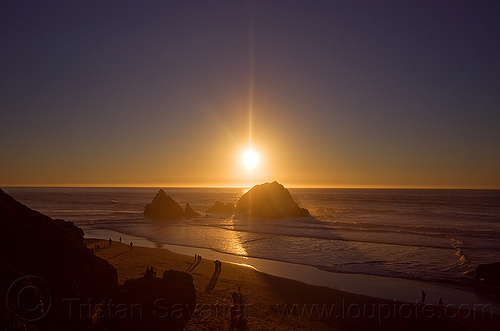 sunset on ocean beach, backlight, clear sky, horizon, ocean beach, sea, seal rocks, seashore, silhouettes, sunset