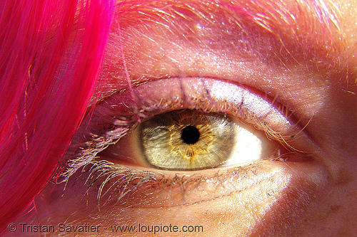 tasha's eye, close up, eye color, eyelashes, iris, natasha, woman