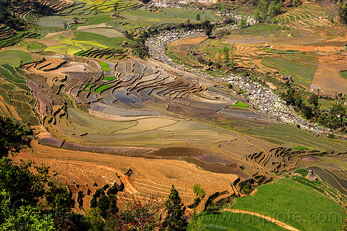 terrace agrigulture - paddy fields (nepal), agriculture, landscape, rice fields, rice paddies, river, terrace farming, terraced fields, valley