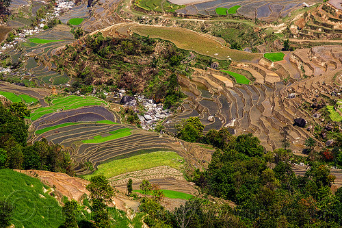 terrace farming - paddy fields (nepal), agriculture, rice paddies, rice paddy fields, river, terrace farming, terraced fields, valley