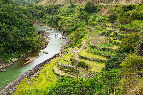 terraced fields in steep valley - chico river (philippines), agriculture, chico river, chico valley, cordillera, landscape, rice fields, rice paddies, rice paddy fields, river bend, terrace farming, terraced fields