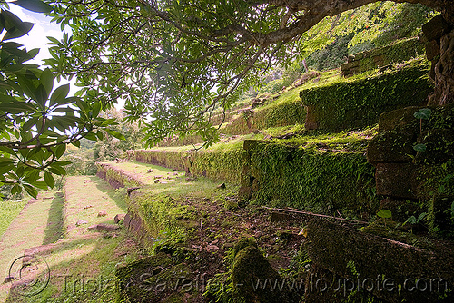 terraces and stair - wat phu champasak (laos), hindu temple, hinduism, khmer temple, ruins, stone stairs, wat phu champasak